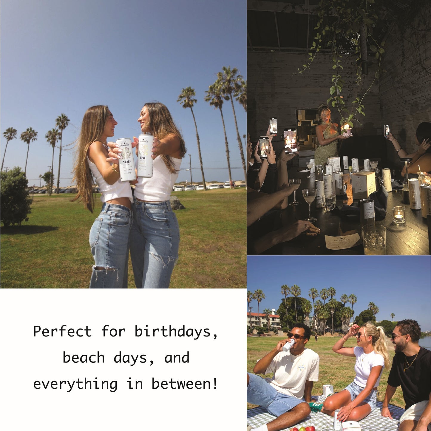 12 Sign Variety Pack