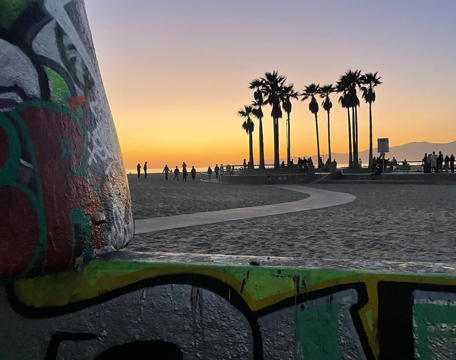 Venice Beach California landscape photo with skatepark and palm trees